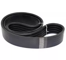 D41978300 Belt Tagex