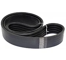 D41978300 Пас Tagex