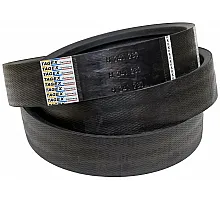 H241230 Belt Tagex