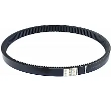 D41980500 Пас Tagex