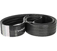 D41990045 Belt Tagex
