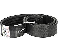 D41990045 Пас Tagex