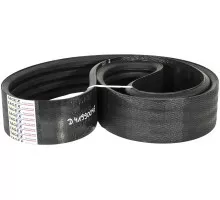 D41990045 Пас Tagex