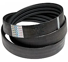 567824.1 Belt Tagex [Claas], 567824