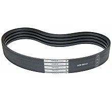629001.0 Belt Tagex [Claas], 629001