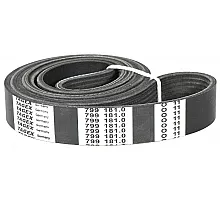 799181.0 Belt Tagex [Claas], 799181