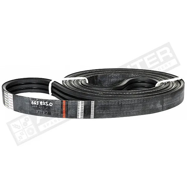 665825.1 Пас Tagex [Claas], 665825 - 1
