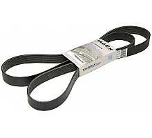 7700066699 Belt Tagex