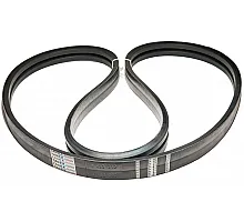 H223212 Belt Tagex