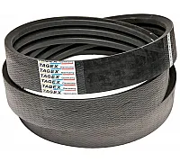 86976208 Пас Tagex