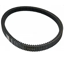 644418.0 Belt Tagex [Claas] 644418, 661429.0