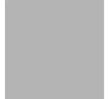 Paint Claas silver 1l