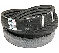 87629602 Belt Tagex