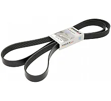 AT262958 Belt Tagex