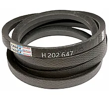 H202647 Belt Tagex