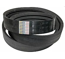 H220052 Пас Tagex, 0744331