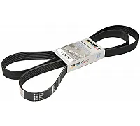 R174754 Пас Tagex