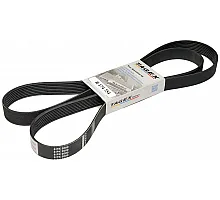 R174754 Пас Tagex