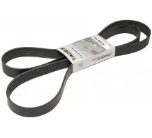 R228566 Пас Tagex