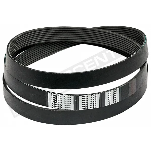 R504618 Пас Tagex - 1