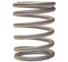 041931AP CH Spring Geringhoff