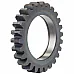 04.5041.00 Gear [Capello], 04504100 - 1