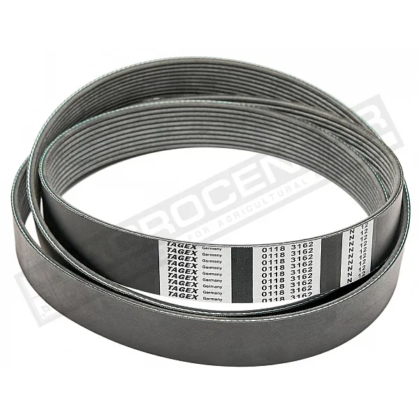 01183162 Пас Tagex - 1