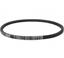 C22 1200Lw-1150Li Пас V-образный ( 301459 ) GUFERO