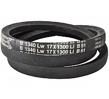 B17 1340Lw-1300Li Пас V-образный ( 300954 ) GUFERO