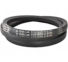B17 1565Lw-1525Li Пас V-образный ( 300978 ) GUFERO