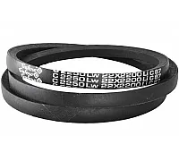 C22 2250Lw-2200 Li Пас V-образный ( 301503 ) GUFERO