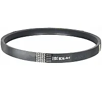 785806M1 Belt Tagex