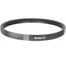 785806M1 Belt Tagex