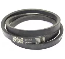 D41981100 Variator belt Tagex [Dronningborg]