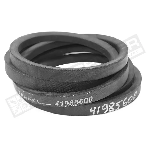 D41985600 Пас Tagex - 1