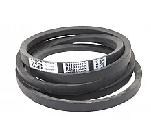 D41986300 Belt Tagex