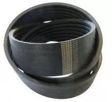 D41990064 Belt Tagex