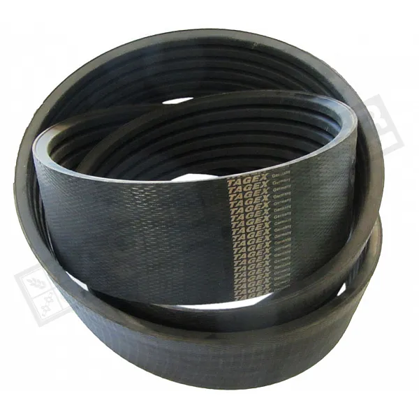 D41990064 Belt Tagex - 1