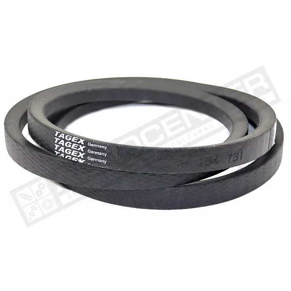 H154731 Пас Tagex - 1