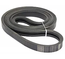 H204747 Belt Tagex, H235564
