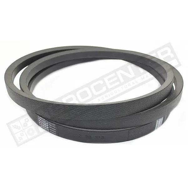 Z39313 Belt Tagex - 1