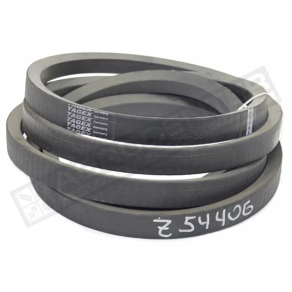 Z54406 Belt Tagex - 1