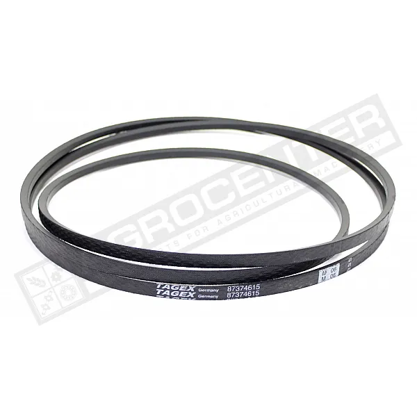 87374615 Пас Tagex [New Holland] - 1