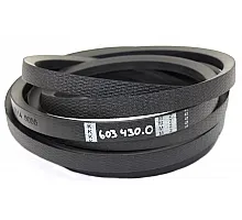 603430.0 Belt Tagex