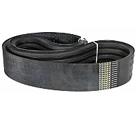 D41990061 Пас Tagex