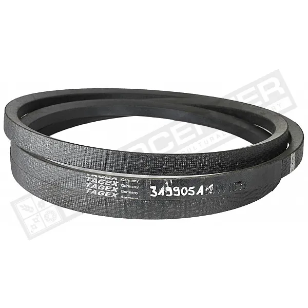319905A1 Belt Tagex - 1