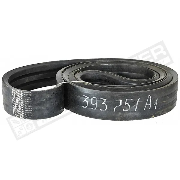 393751A1 Belt Tagex - 1