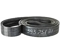 393751A1 Пас Tagex