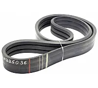 H225036 Belt Tagex