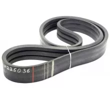 H225036 Belt Tagex